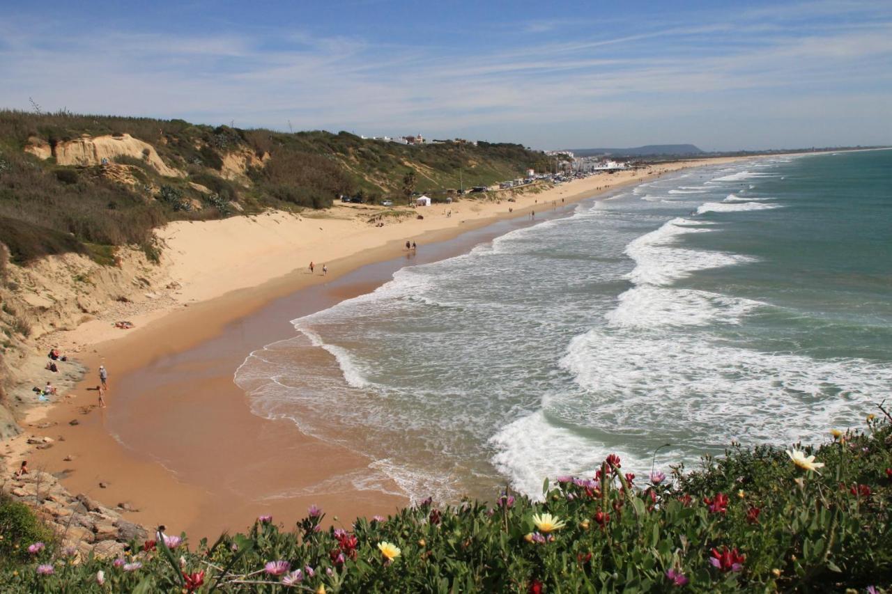 Apartamento Centro De Conil โกนิล เด ลาฟรอนเตรา ภายนอก รูปภาพ